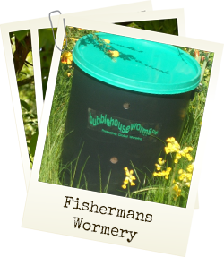 Fishermans Wormery - continous supply of fresh worms for fishing